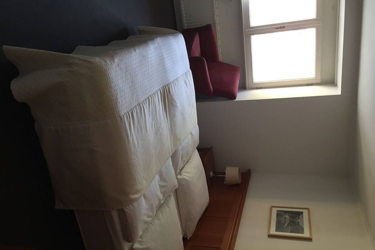 Chambre Classique Double ou avec lits jumeaux, 1 très grand lit