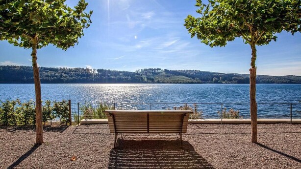 Un banco junto a un lago, flanqueado por árboles, con una vista despejada del agua.