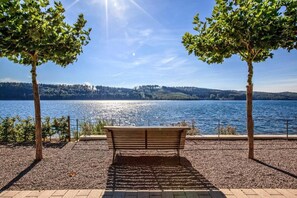 Un banco junto a un lago, flanqueado por árboles, con una vista despejada del agua.