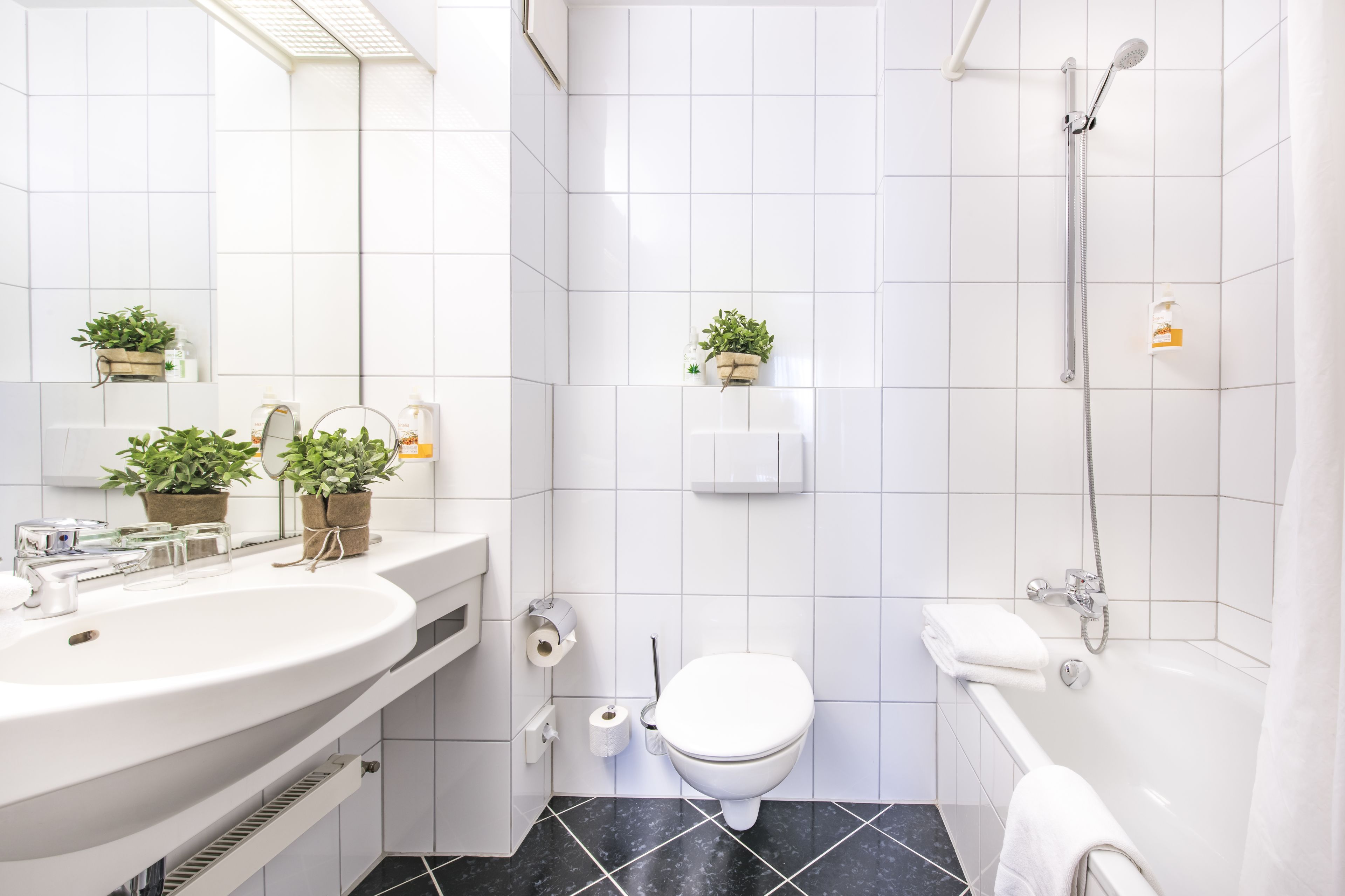 hair dryer, towels, soap, toilet paper