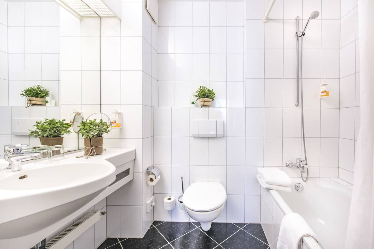 hair dryer, towels, soap, toilet paper