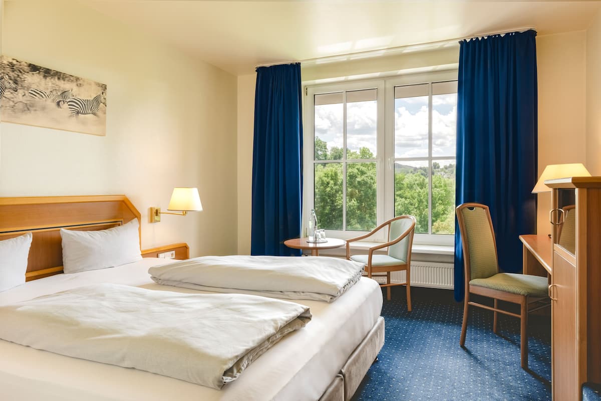 A hotel room with a large bed, a desk, a chair, and a view of the outdoors.