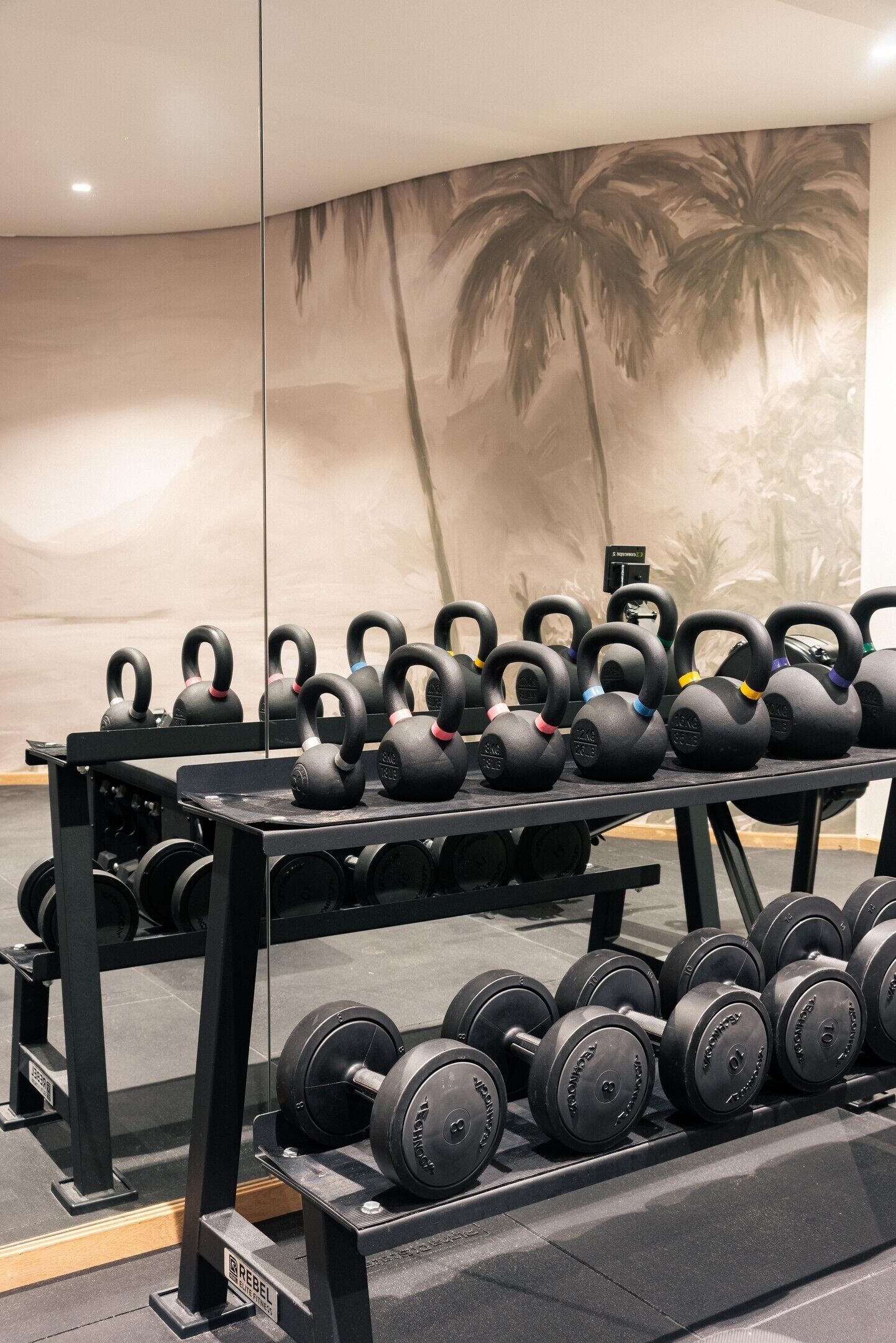 Ett gym med kettlebells och hantlar uppradade på ställningar.
