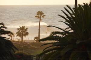 A coastal view with palm trees, a beach, and ocean waves.