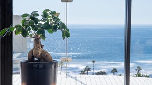 A potted plant on a windowsill with a view of the ocean. - President Hotel (Cape Town)