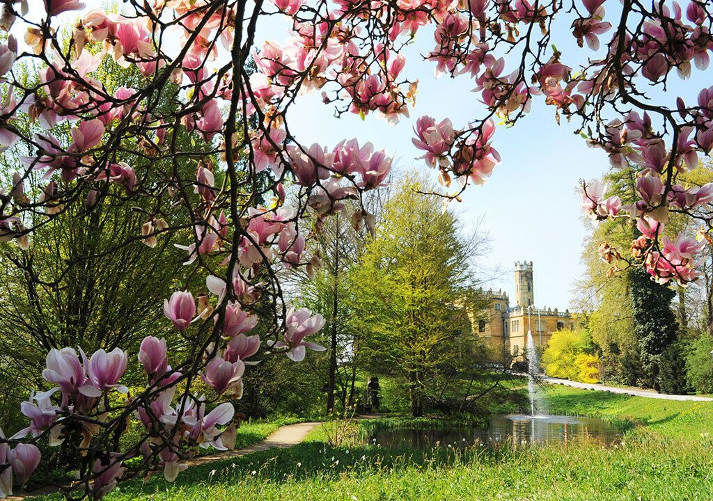 Foto - Hotel Schloss Eckberg