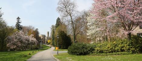 A pathway leading to a building with a traditional architectural style, surrounded by blooming trees and a well-maintained lawn.