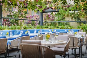 International cuisine