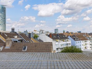 Panoramic city views of modern and traditional architecture.