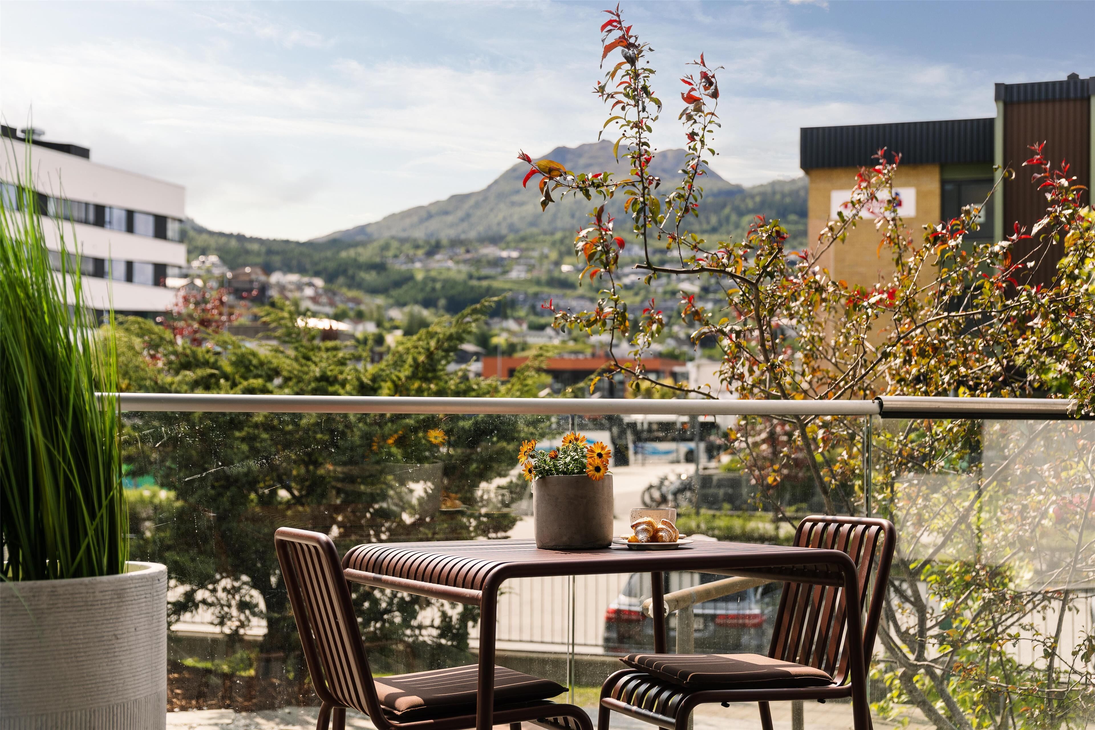 Accommodatievoorziening