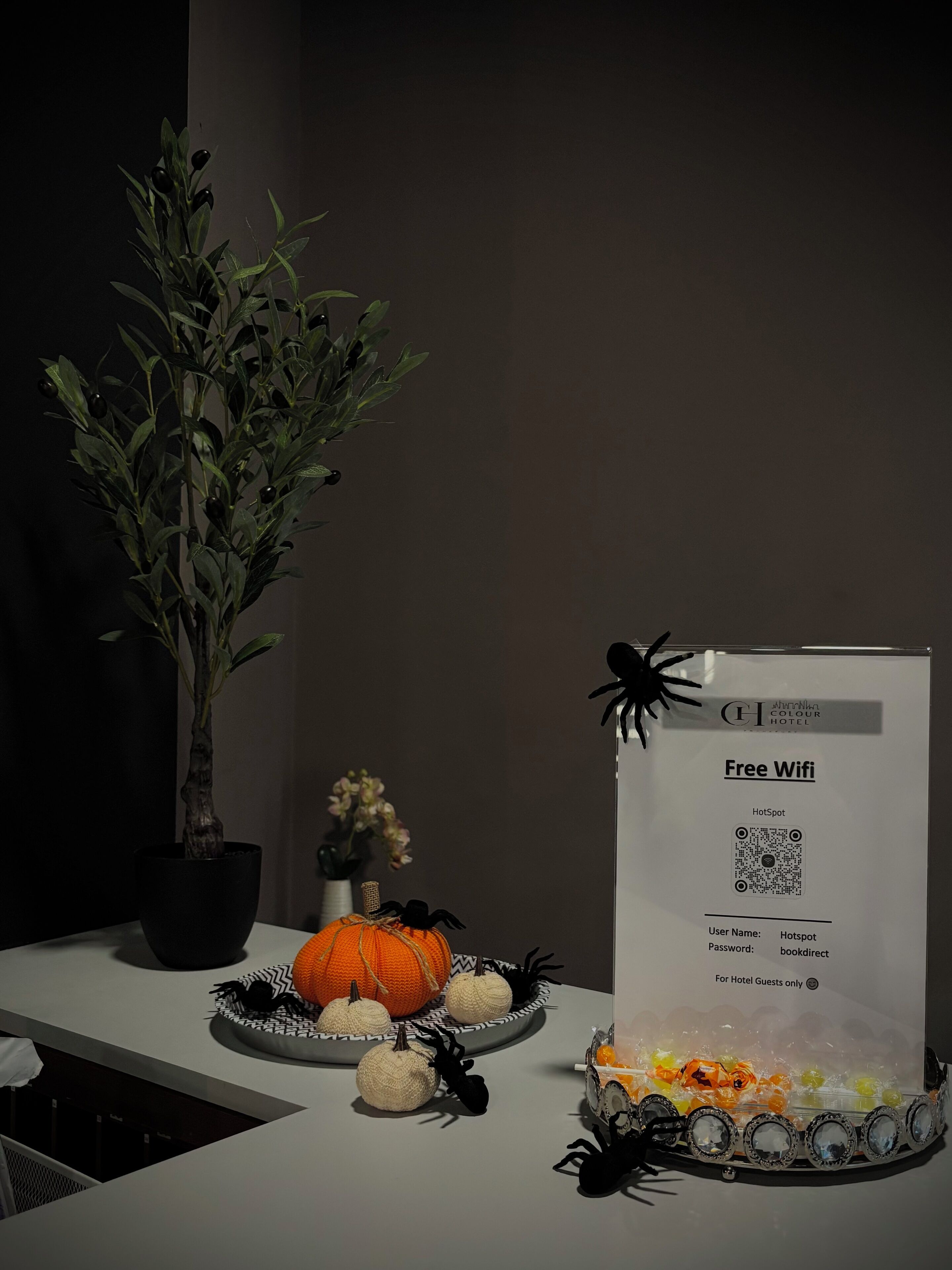 Photo - Colour Hotel