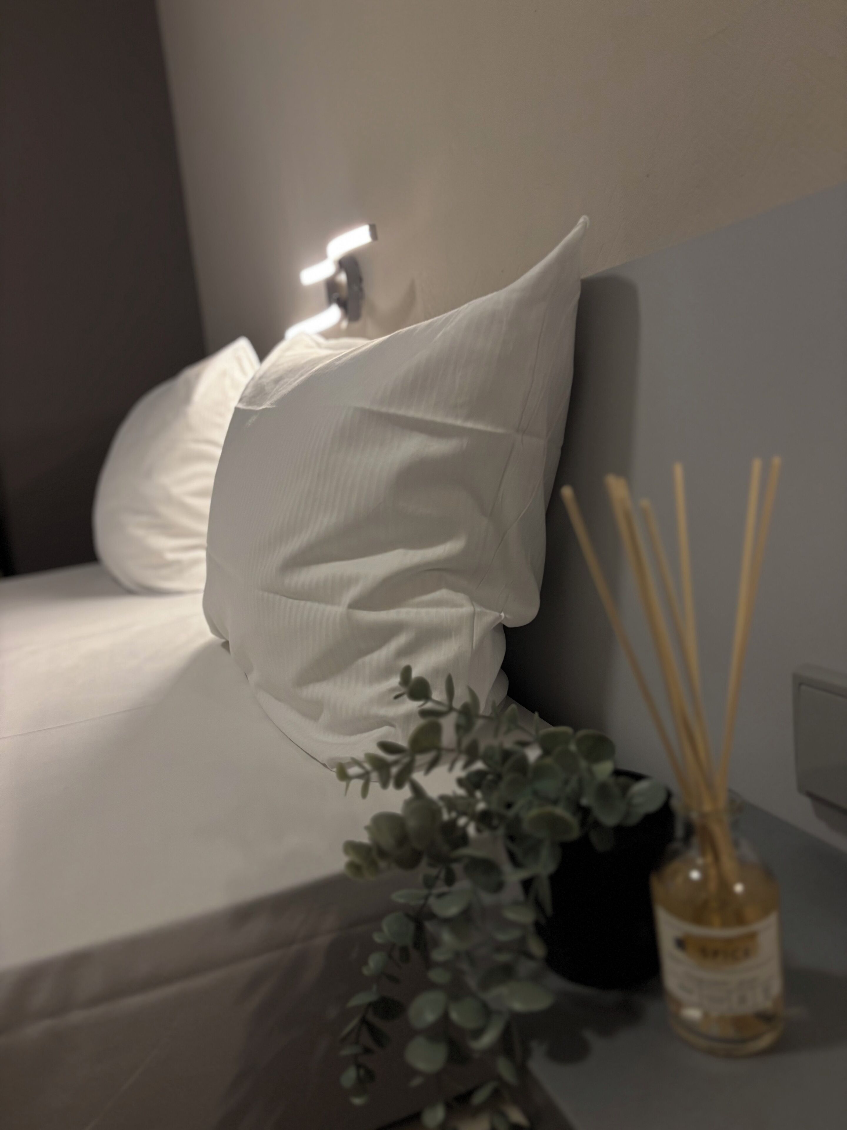 Photo - Colour Hotel