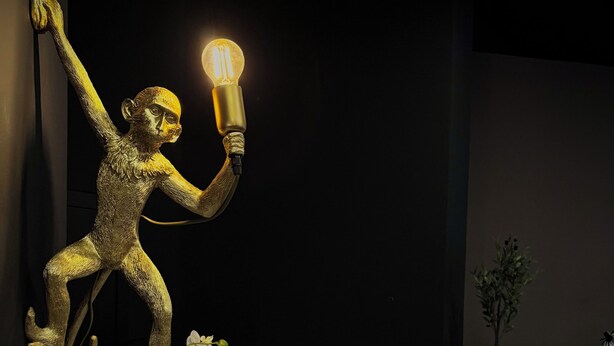 A sculpture of a figure holding a light bulb, placed on a counter with a potted plant, a sign, and a vase of flowers. - Colour Hotel (Frankfurt)