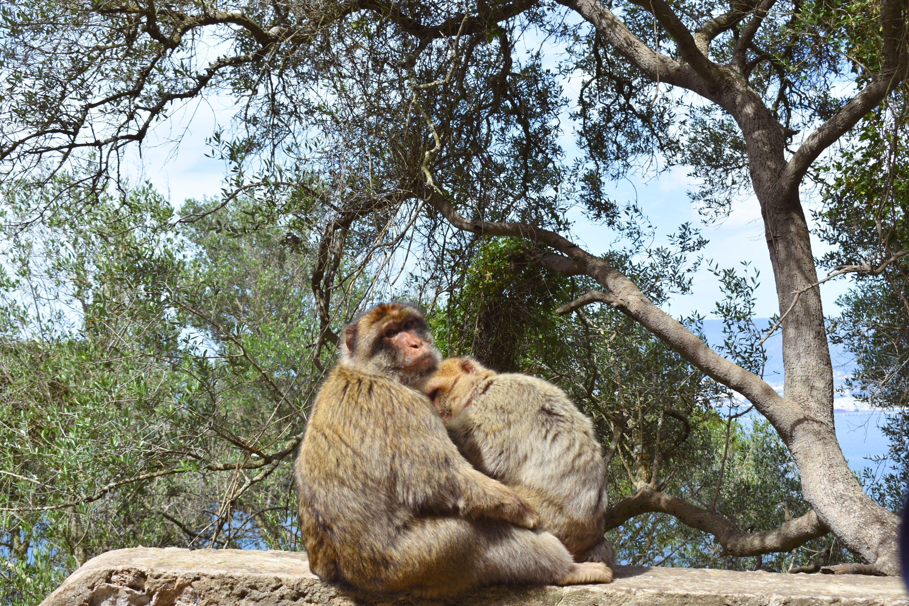 Foto - The Eliott Hotel