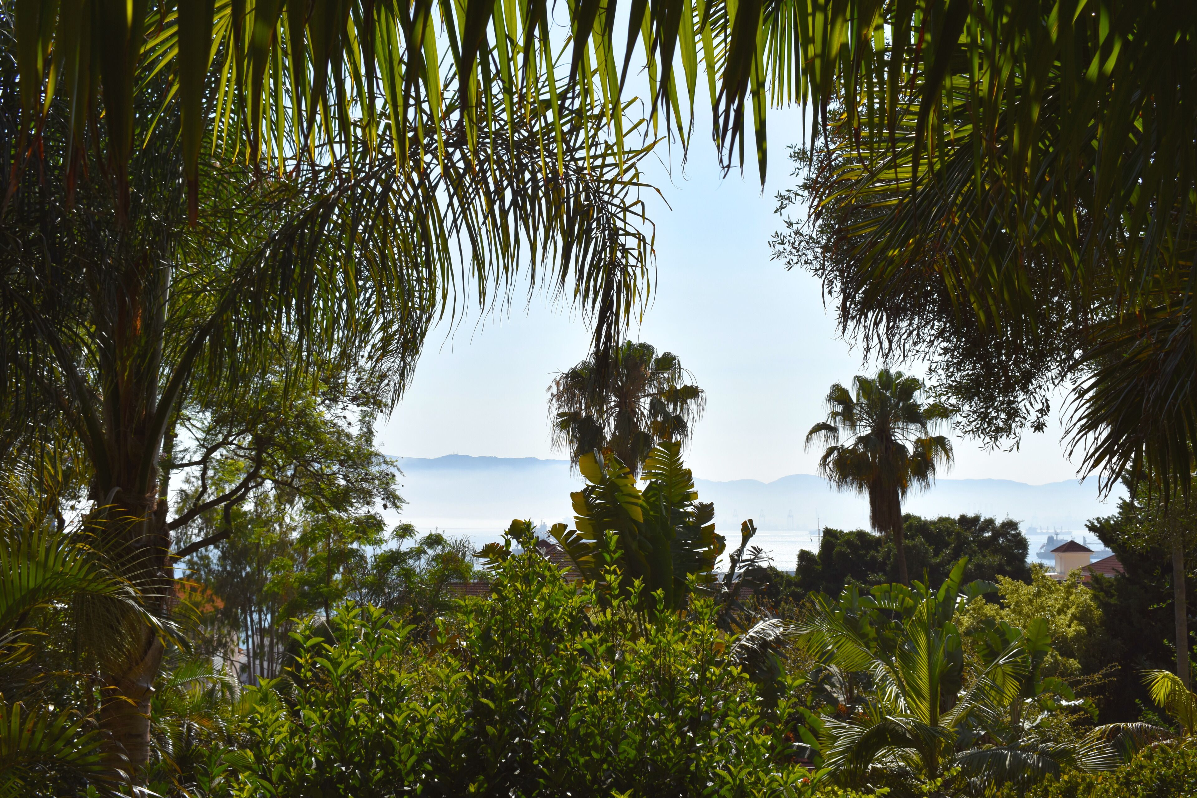 Foto - The Eliott Hotel