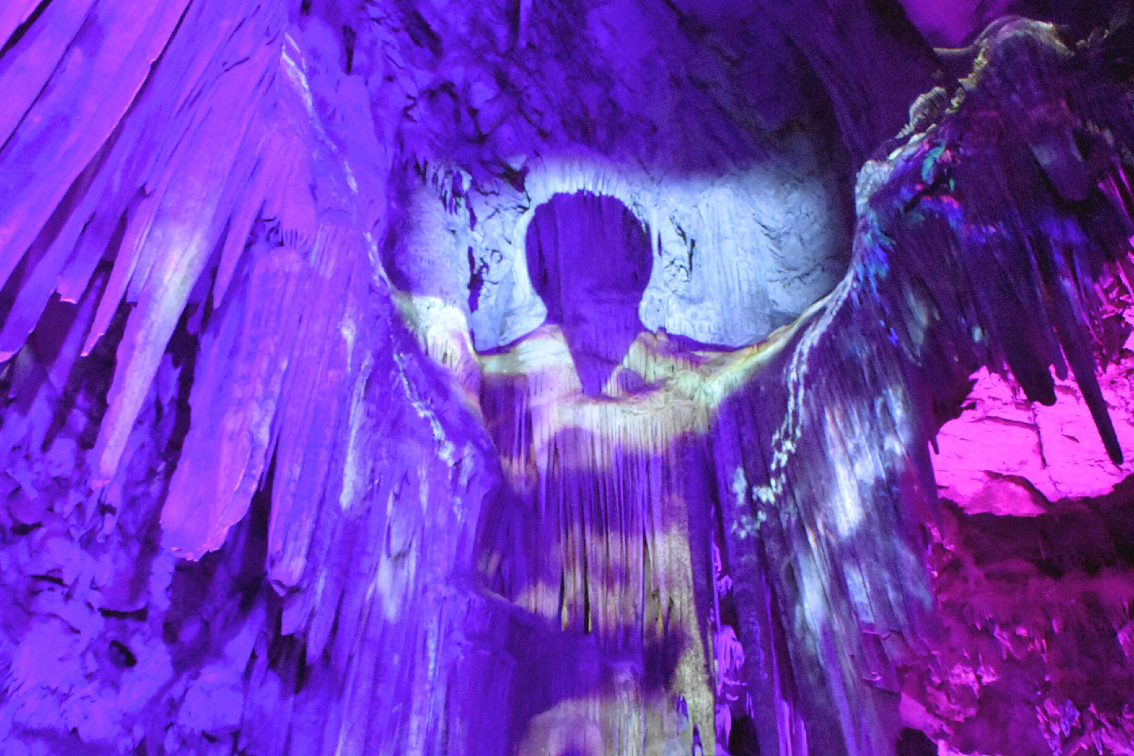 Foto - The Eliott Hotel