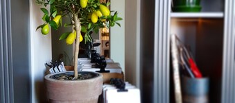 Best Western Plus Grand Hotel