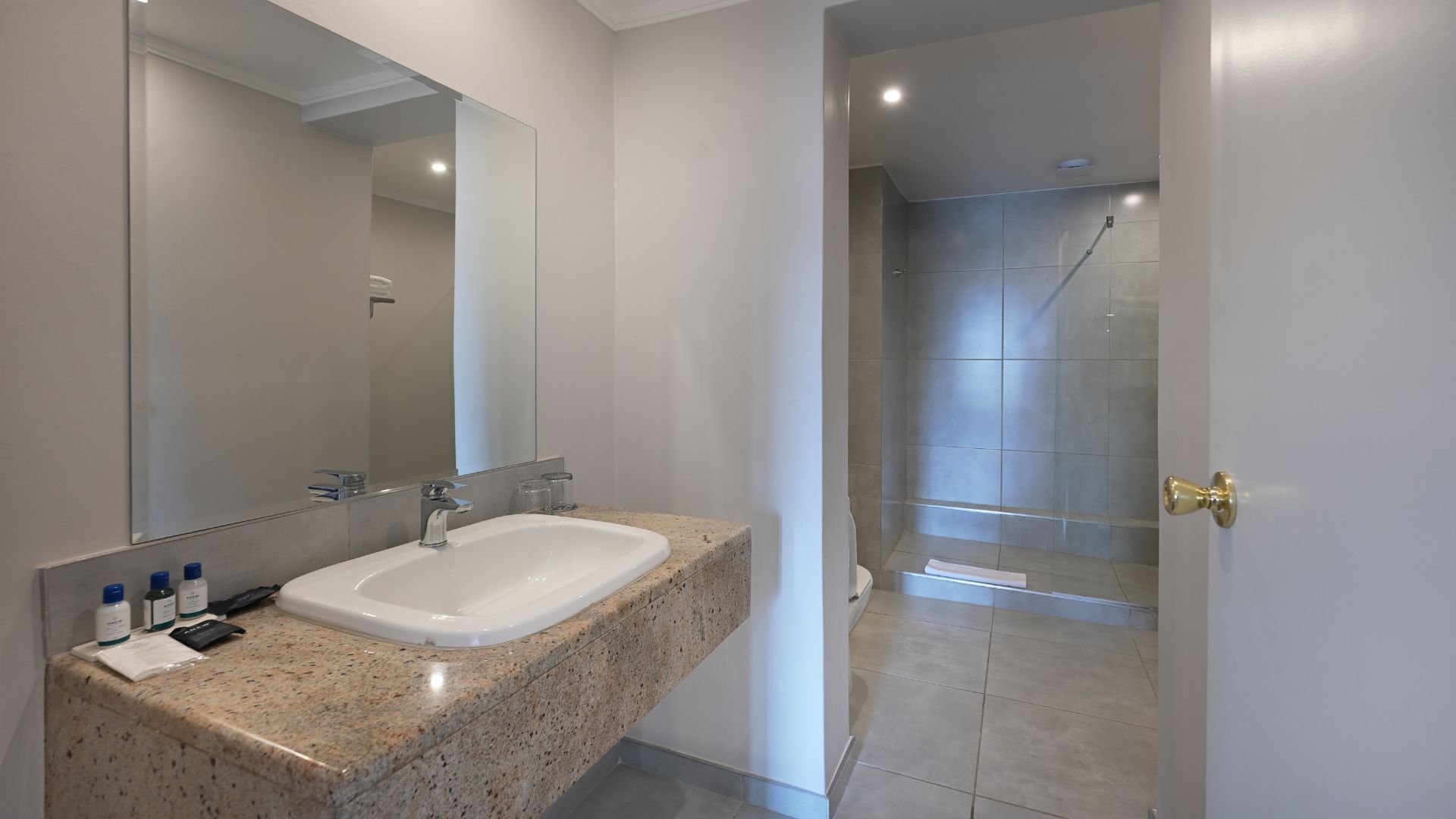 executive room | bathroom | shower, hydromassage showerhead, free toiletries, hair dryer
