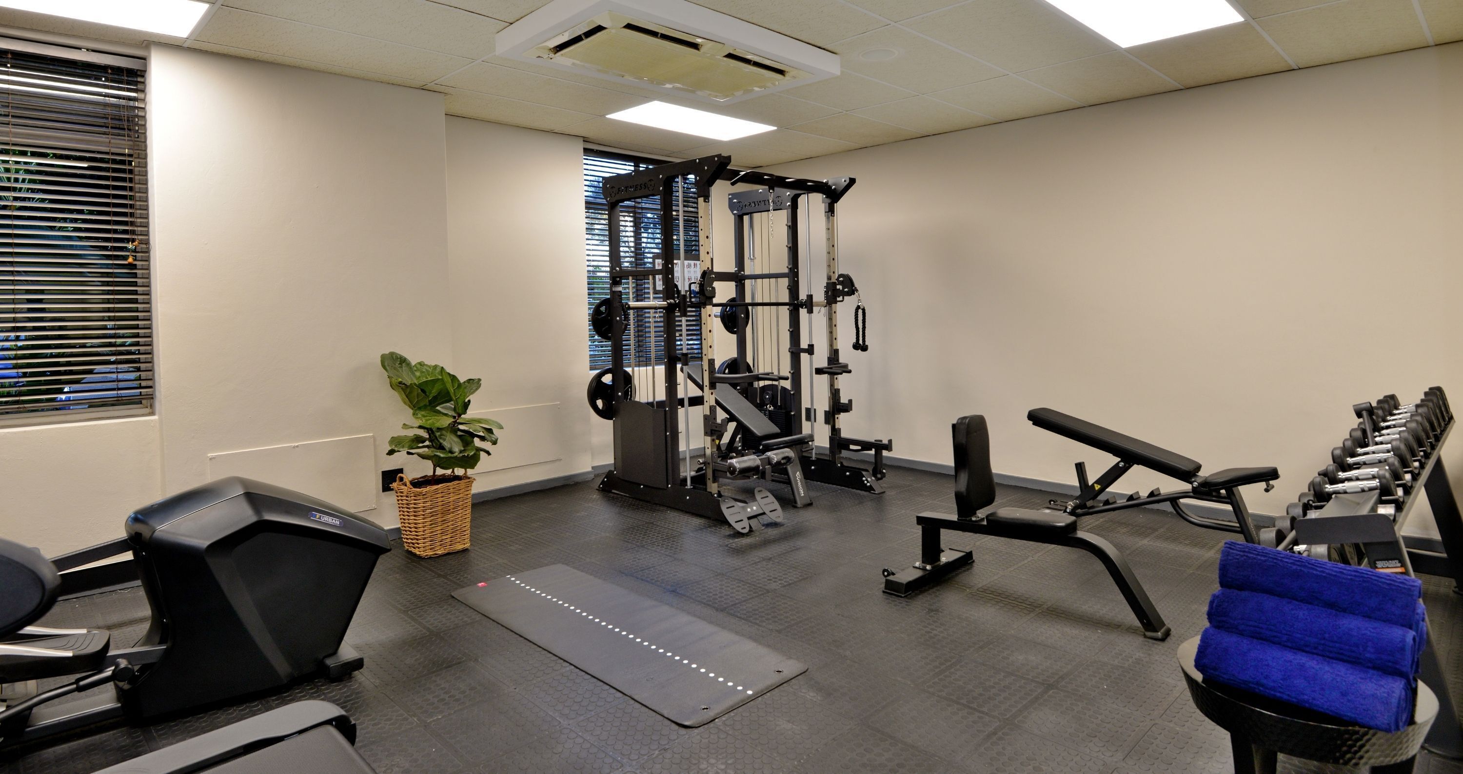 Un gimnasio con equipo de ejercicio, cinta de correr y banco.