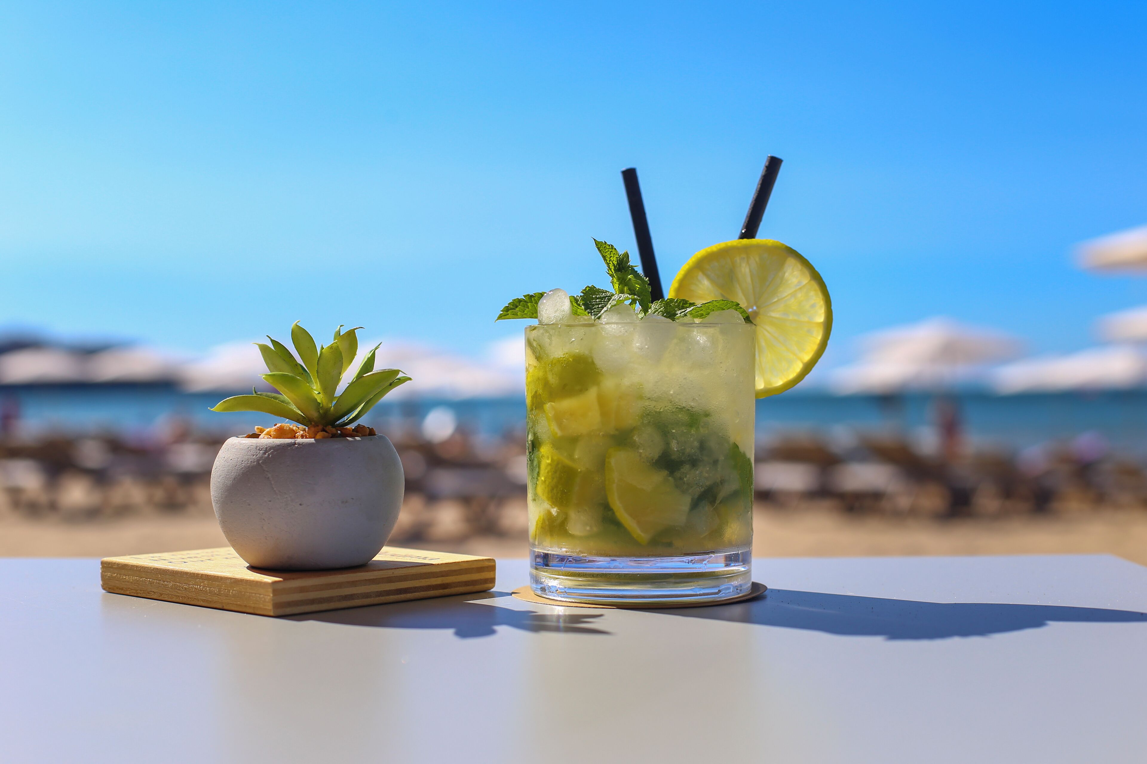 A clear glass with ice, mint leaves, and a lemon slice on a table with a small potted plant beside it.