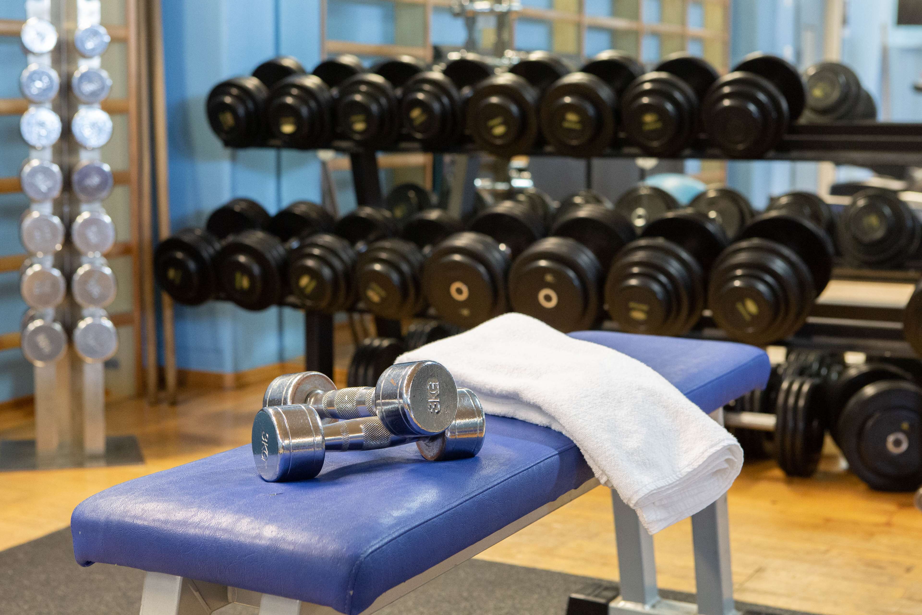 A gym with a blue bench, dumbbells, and a white towel.