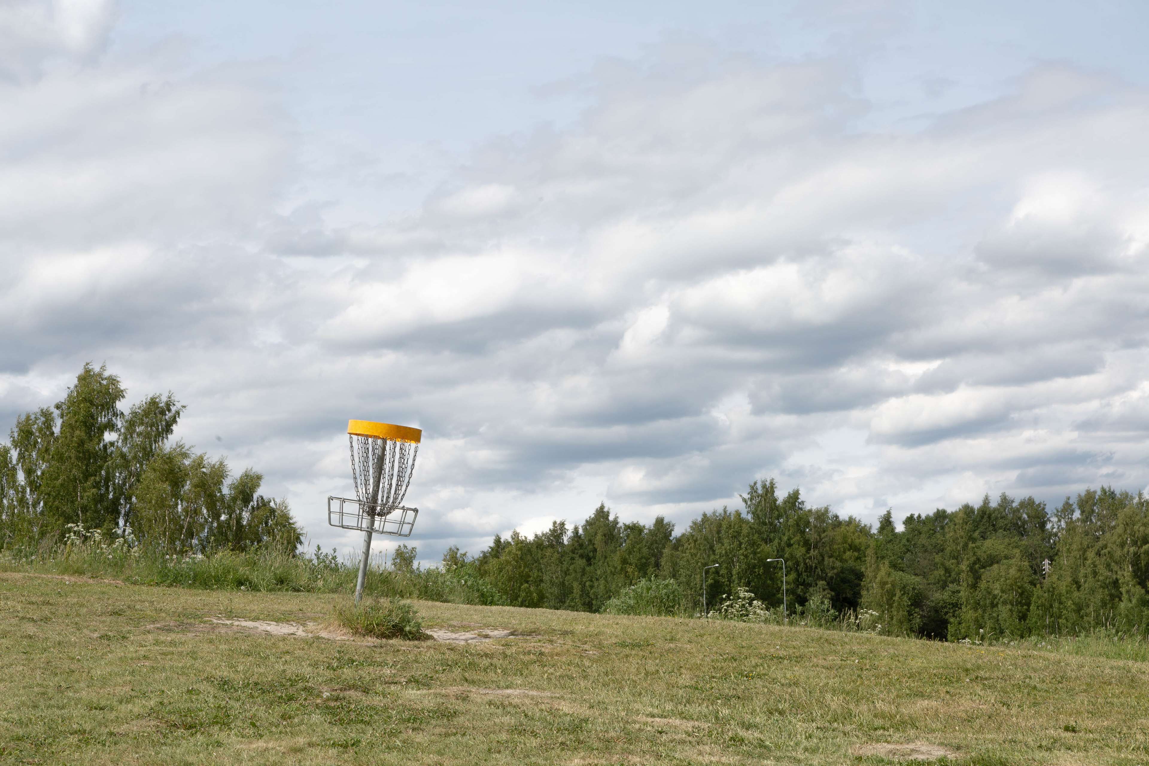 Frisbeegolfin kori ruohikkoisella kentällä, taustalla puita.
