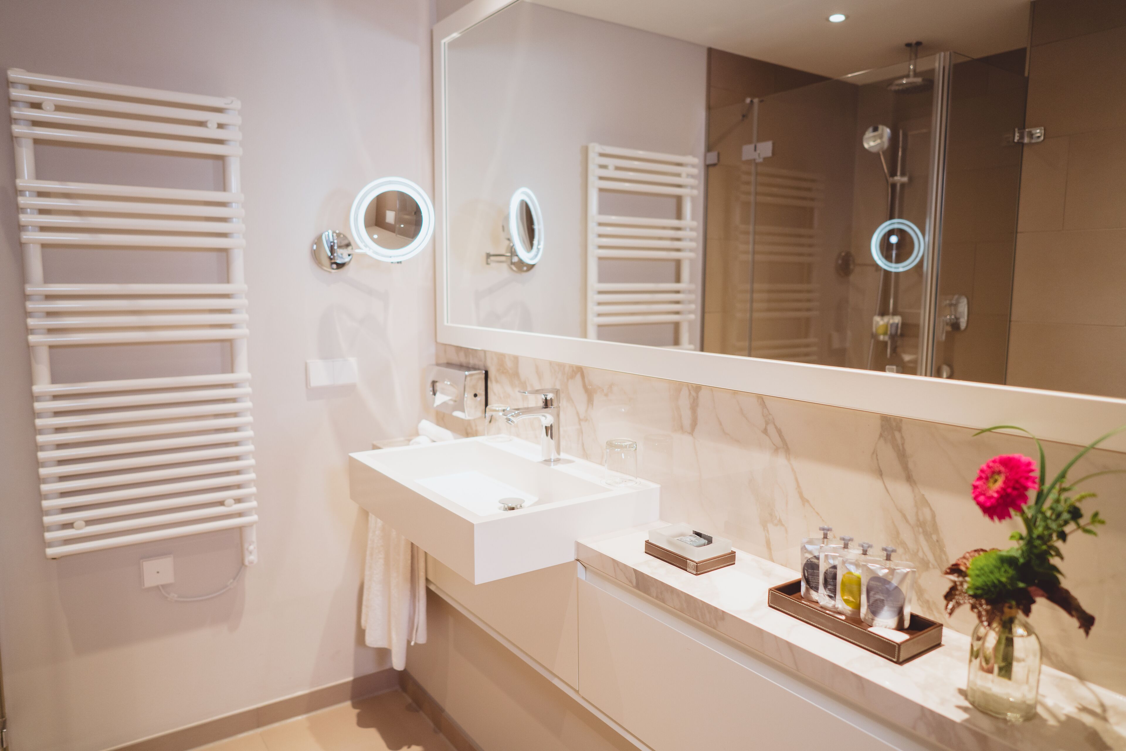 deluxe double room, 1 double bed | bathroom | shower, free toiletries, hair dryer, bathrobes