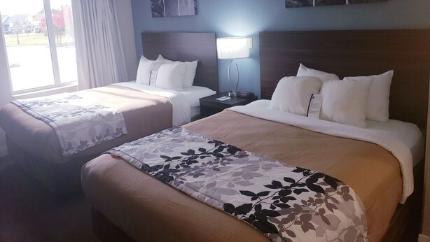 Habitació d'hotel amb dos llits, un finestral gran i obres d'art a les parets.
