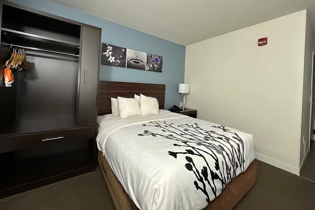 Desk, iron/ironing board, free WiFi, bed sheets