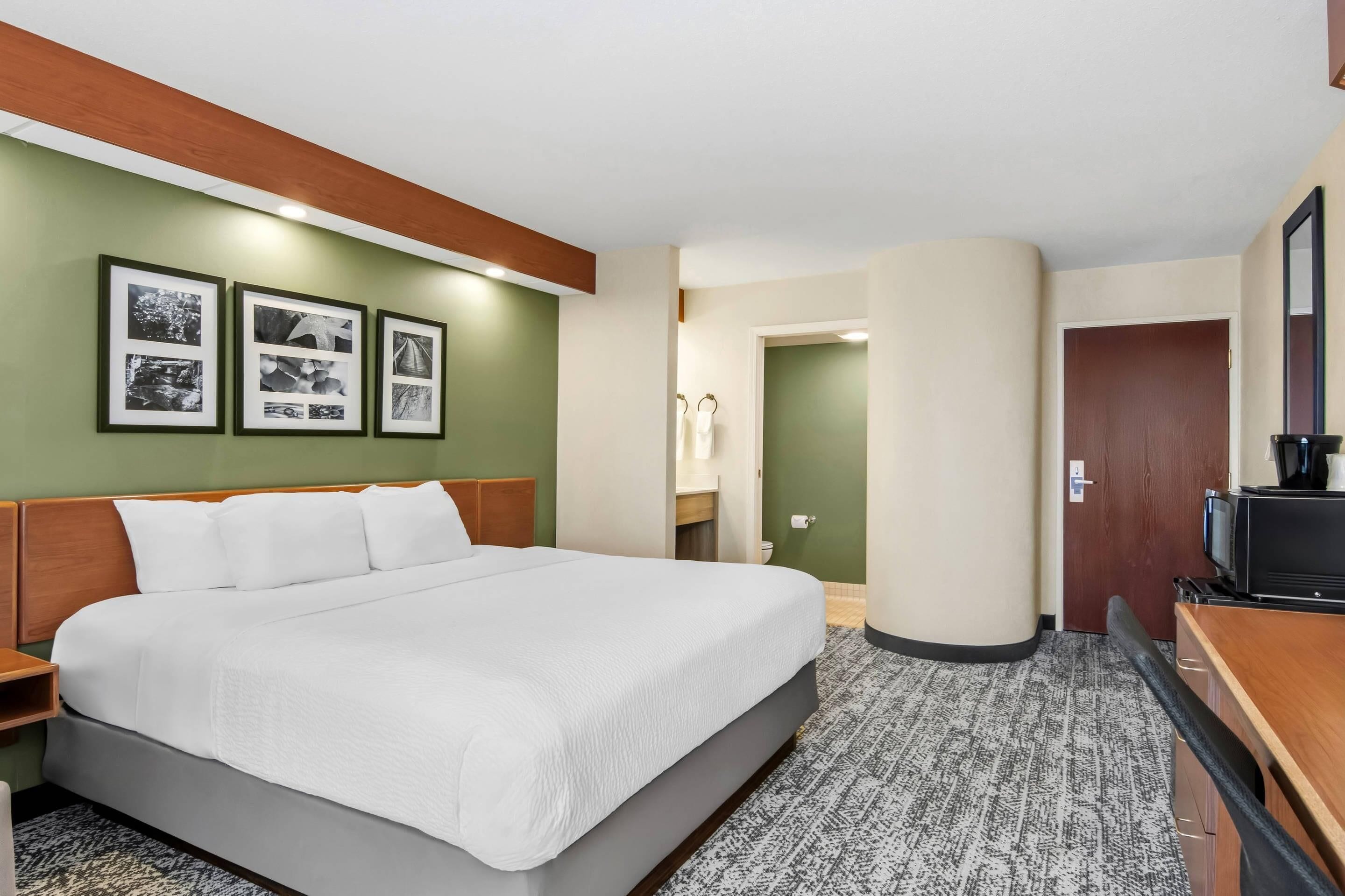 Habitación de hotel con una cama, un escritorio, un televisor y cuadros en la pared.