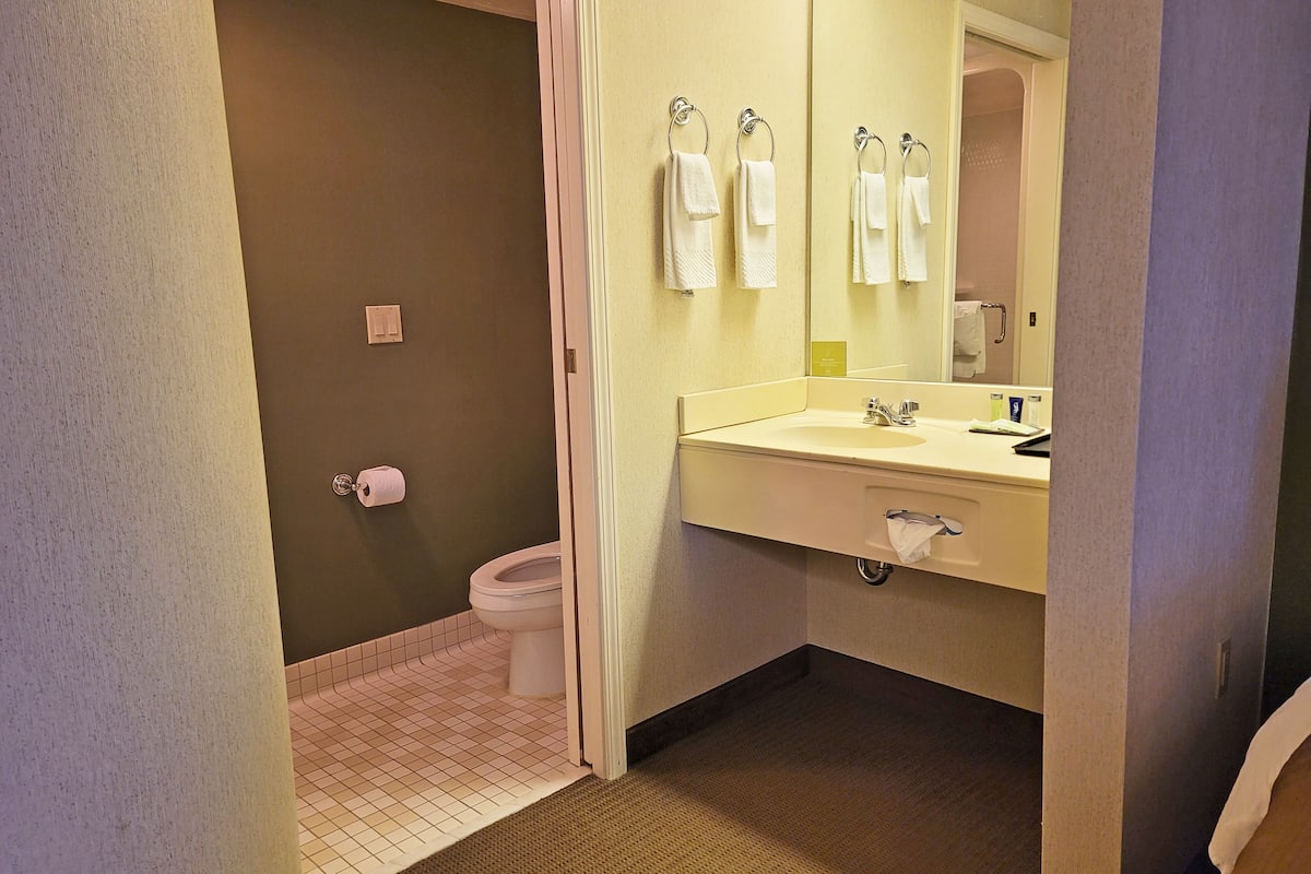 A bathroom with a toilet, sink, and mirror.
