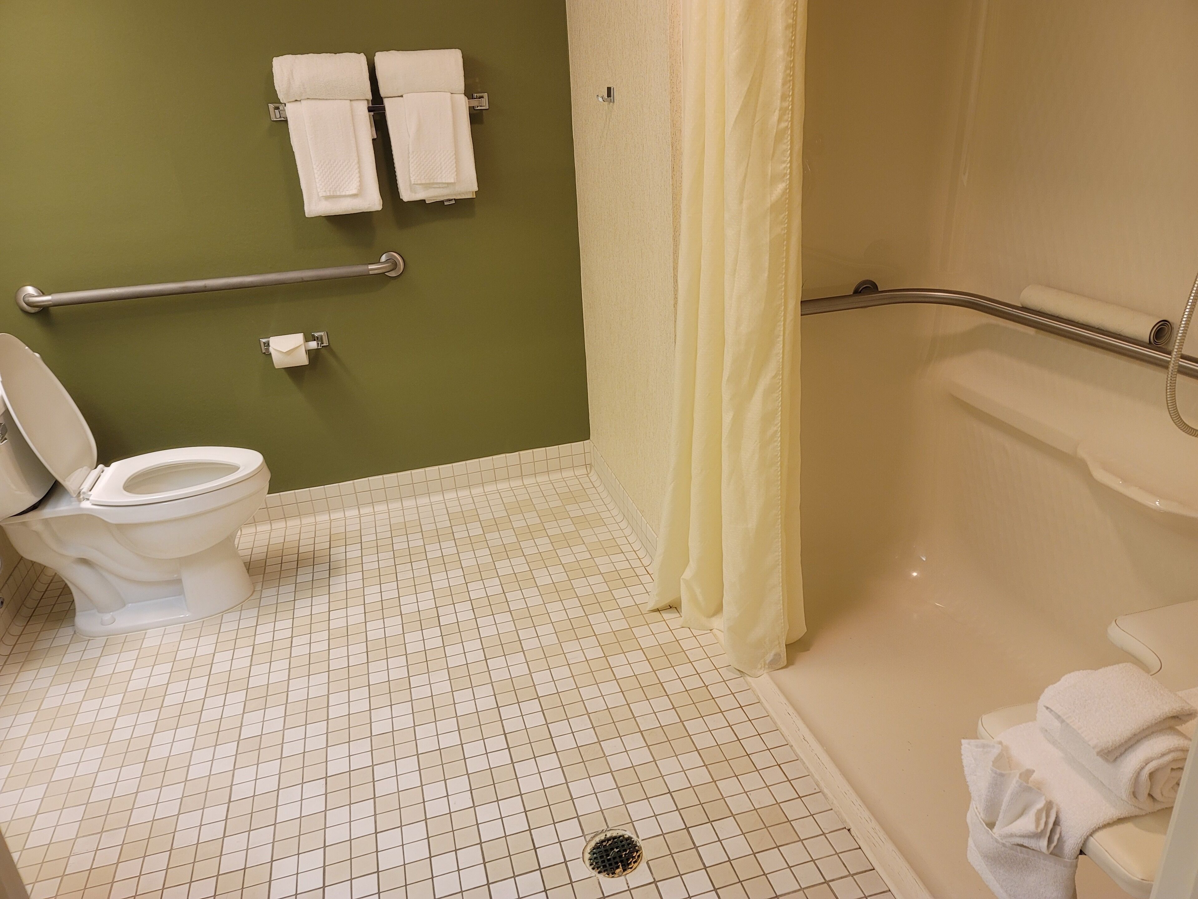 room, 1 queen bed, non smoking (roll-in shower) | bathroom | free toiletries, hair dryer, towels, soap