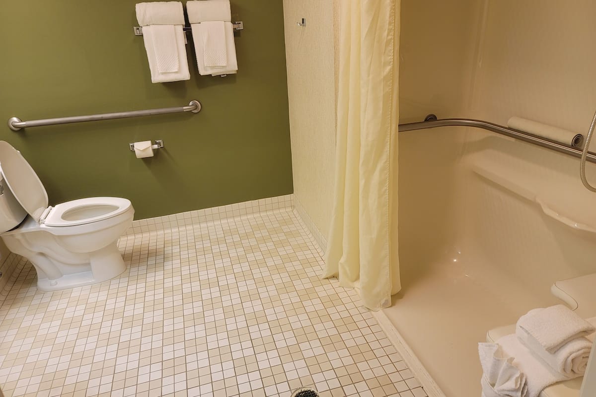 room, 1 queen bed, non smoking (roll-in shower) | bathroom | free toiletries, hair dryer, towels, soap