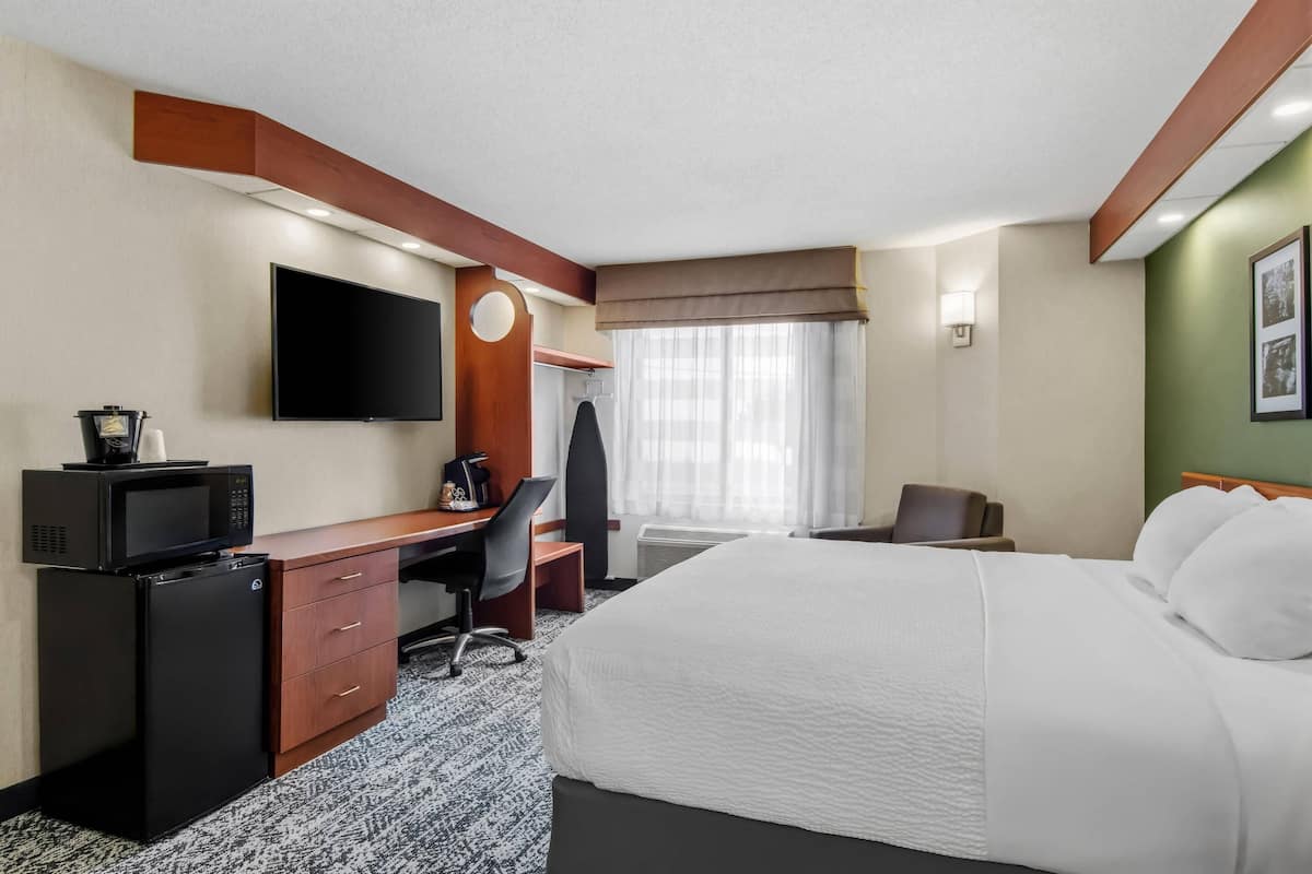 Standard Room, 1 King Bed, Non Smoking | Down comforters, pillowtop beds, desk, laptop workspace