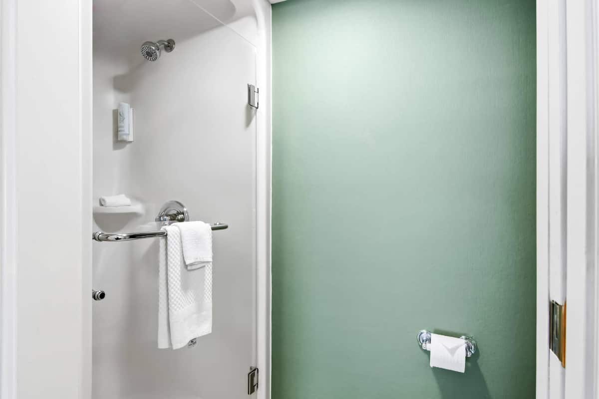 Suite, 1 King Bed with Sofa bed, Non Smoking | Down comforters, pillowtop beds, desk, laptop workspace