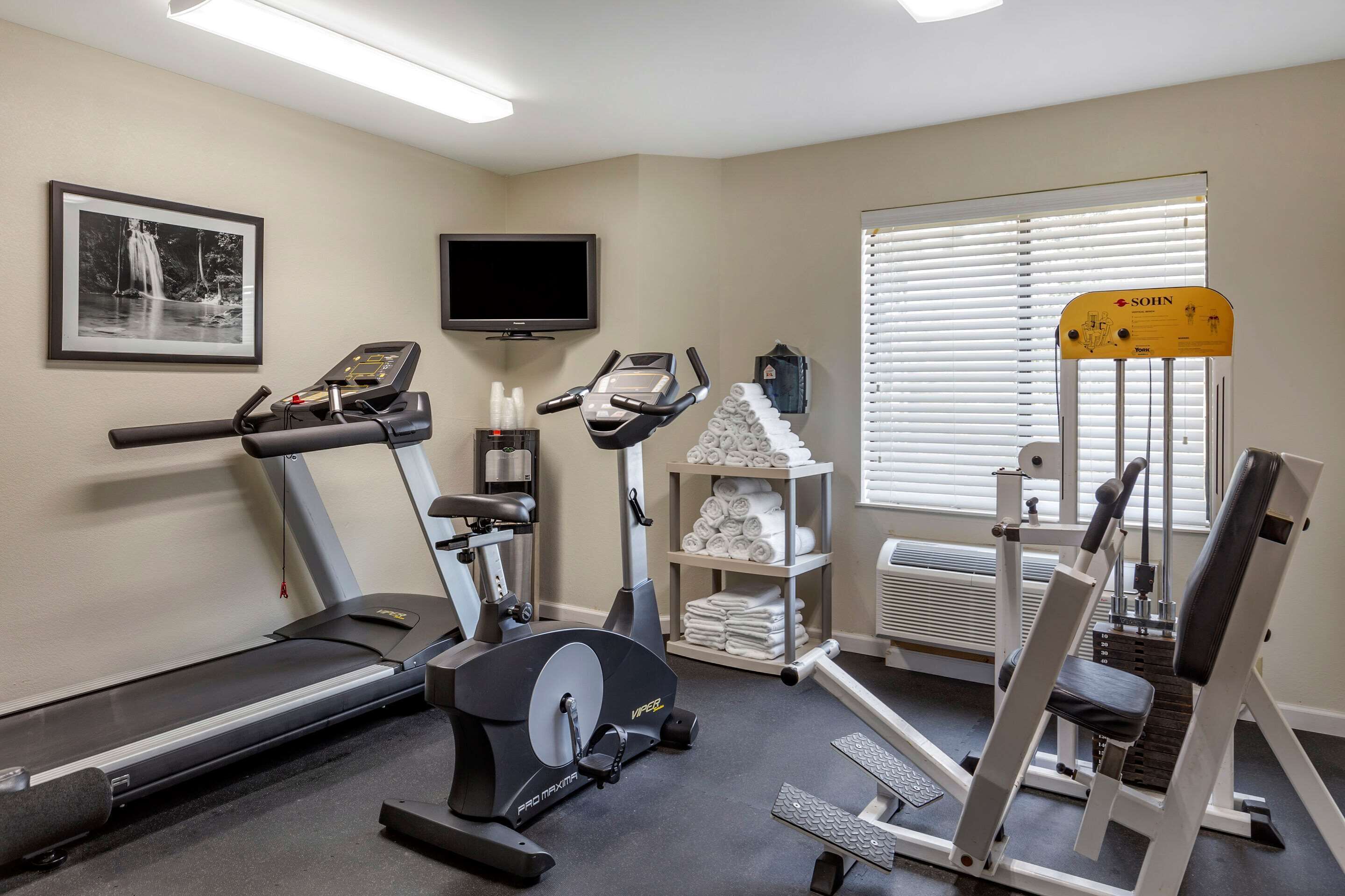 A gym with a treadmill, elliptical, and weight machines.
