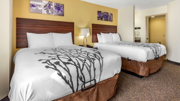 A hotel room with two beds, a wooden headboard, a lamp, and a wall with floral artwork.