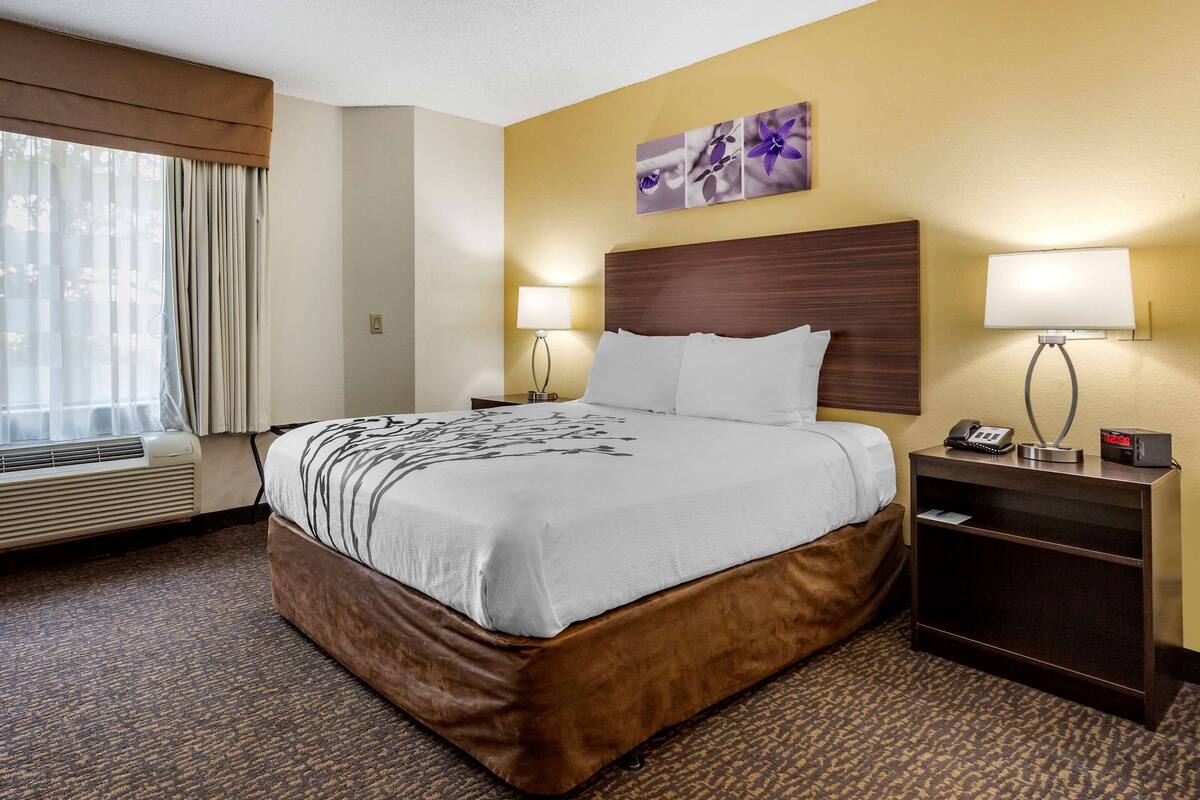 Quarto de hotel com uma cama grande, duas luminárias de cabeceira, uma mesa de cabeceira com telefone e relógio, e uma janela com cortinas.