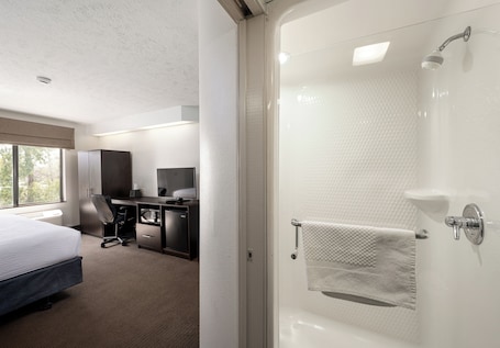 Shower, free toiletries, hair dryer, towels