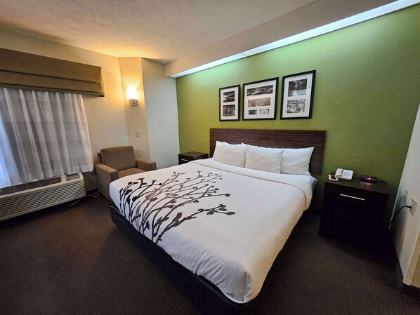 Standard Room, 1 King Bed, Non Smoking, Refrigerator & Microwave | Desk, iron/ironing board, free cribs/infant beds, free WiFi