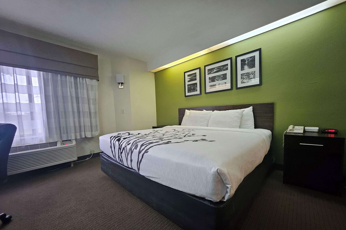 Desk, iron/ironing board, cribs (free), WiFi (free)