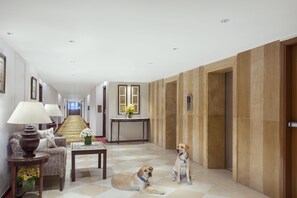 Pet-friendly