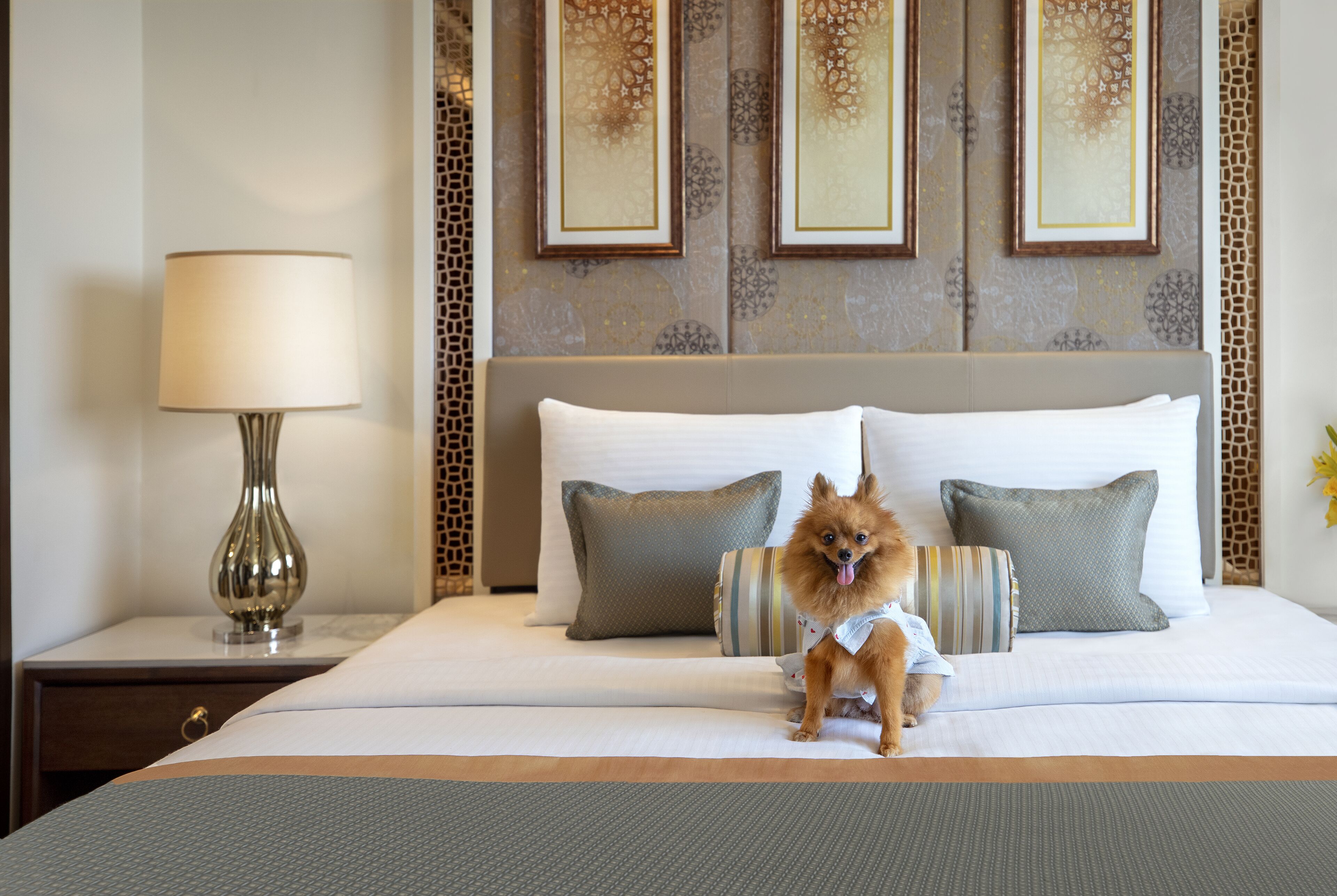 Una habitación de hotel con una cama, almohadas, una lámpara y un perro pequeño.