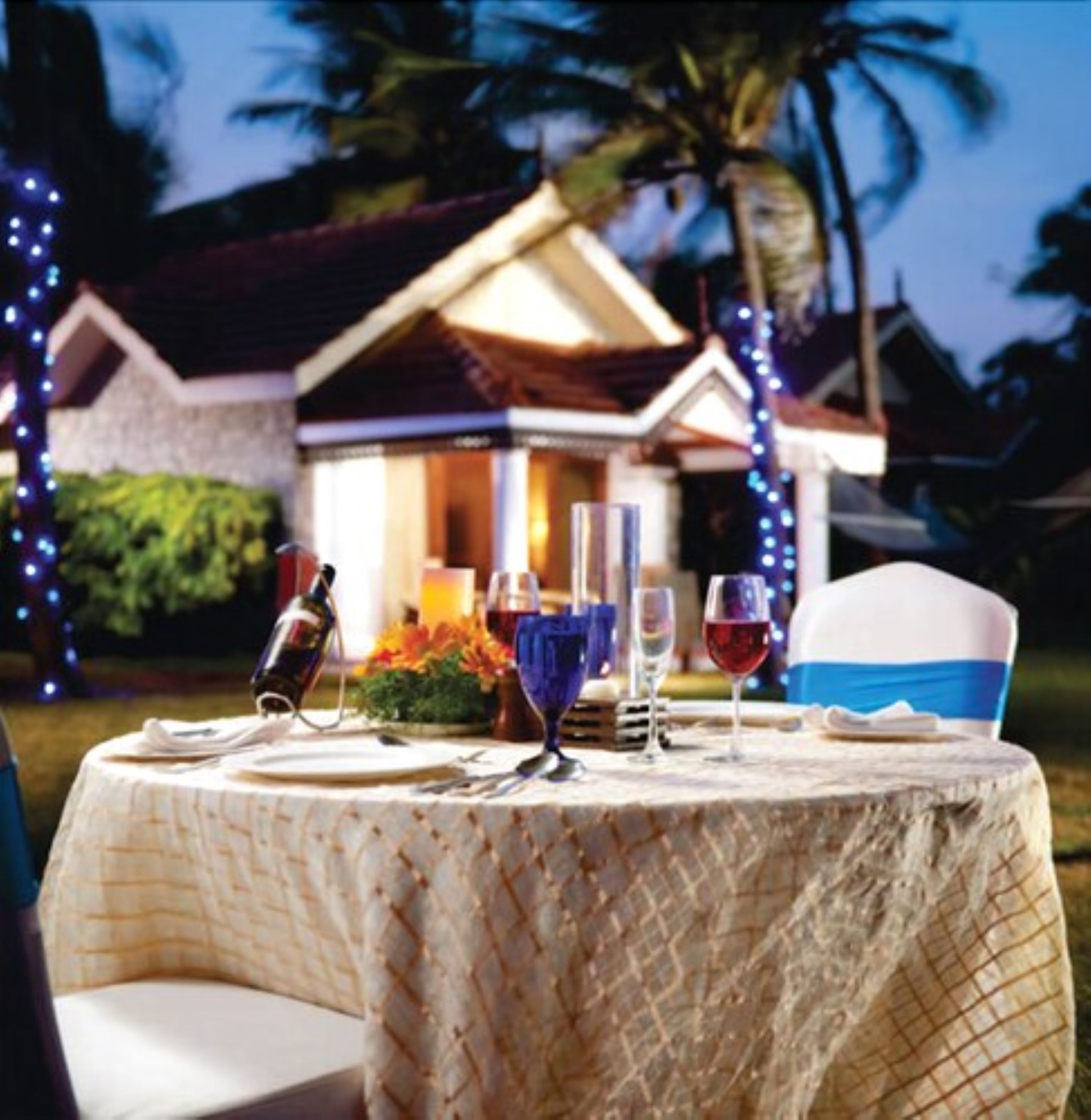 An outdoor dining table set with wine glasses and a bottle, surrounded by greenery and palm trees, with a house in the background.