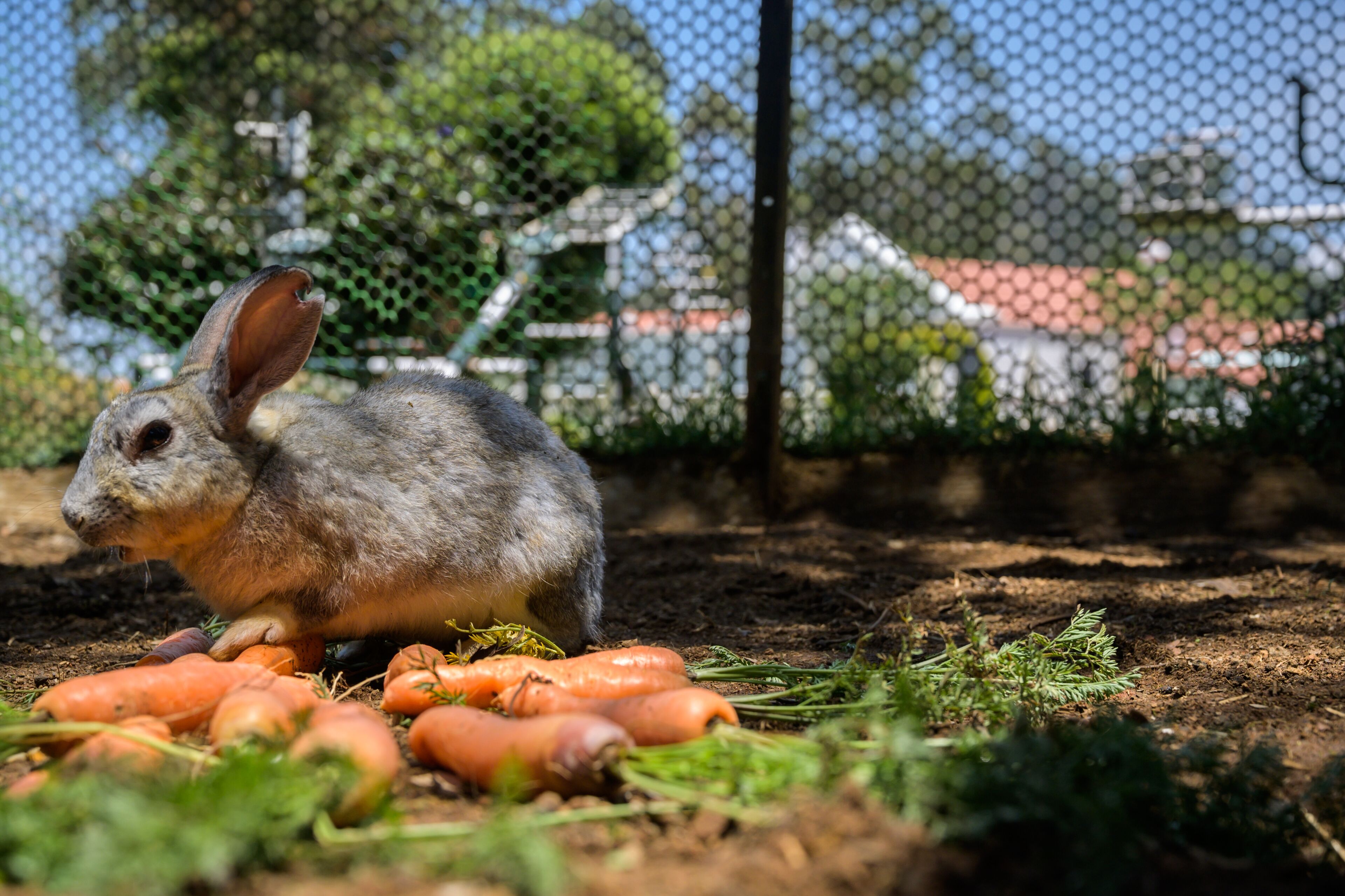 children’s activities