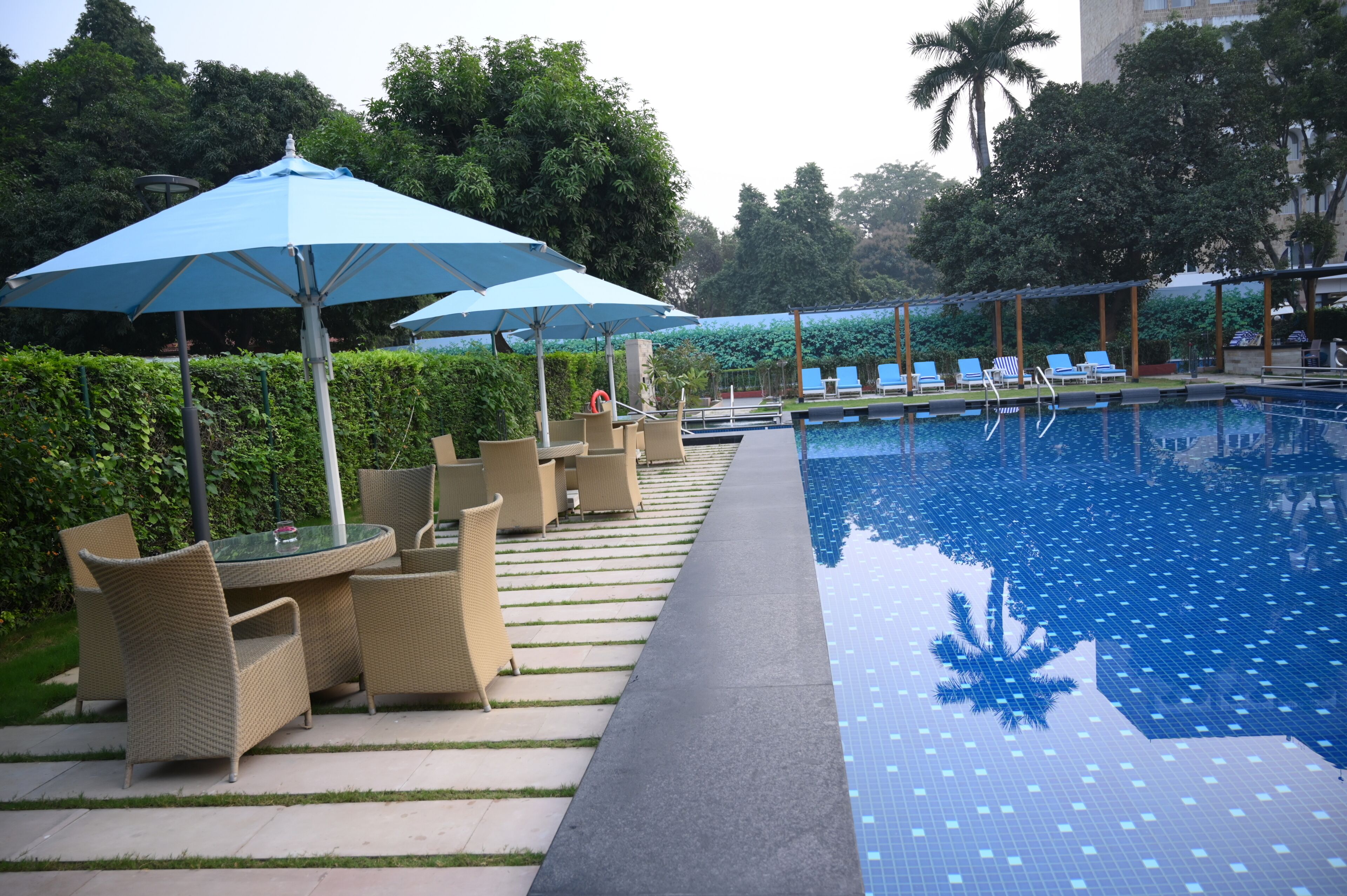 A poolside area with lounge chairs and umbrellas, a tiled pool, and greenery in the background.
