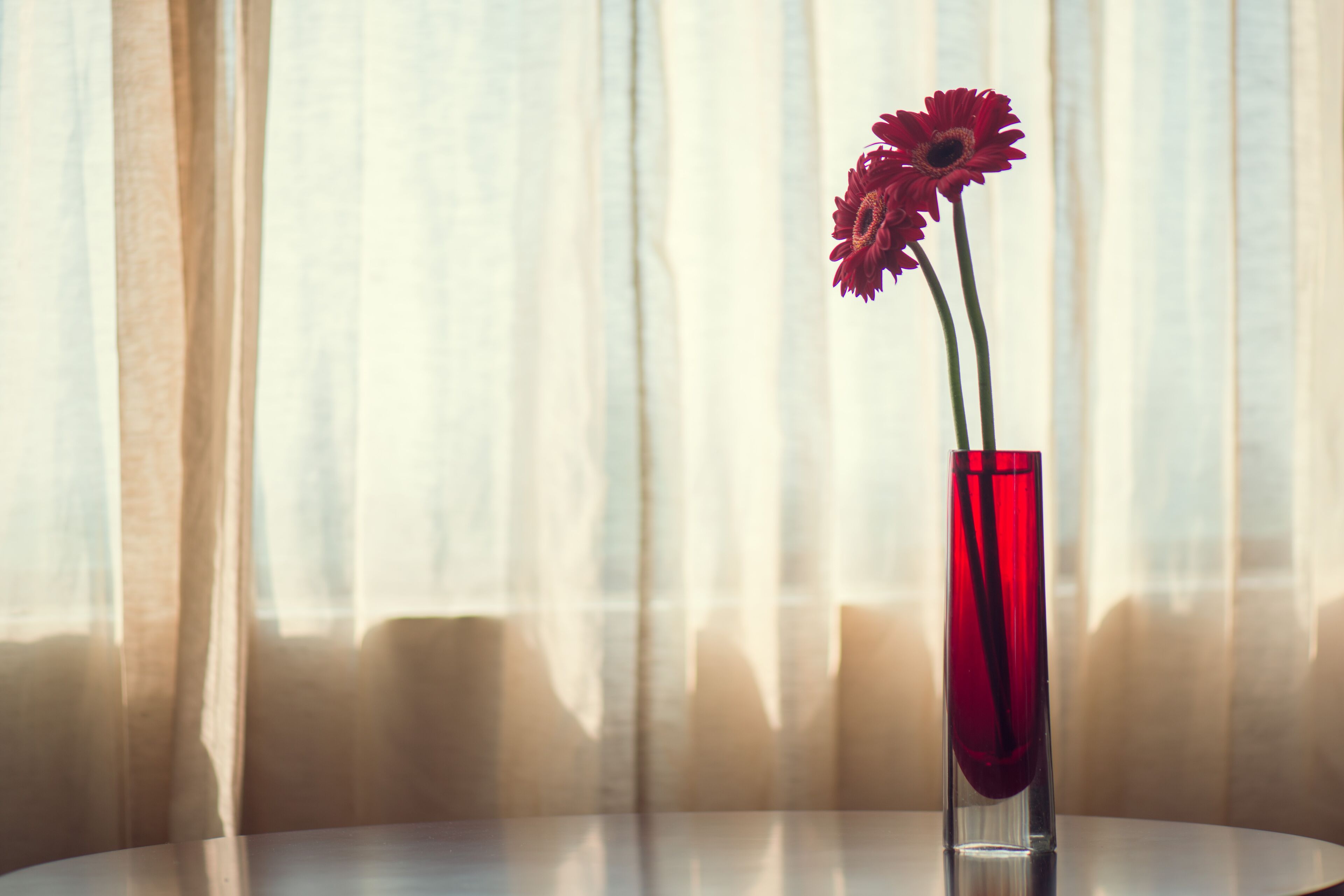Eine einzelne rote Blume in einer klaren Vase auf einem runden Tisch.