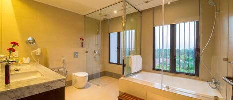 Un baño moderno con una amplia ducha con mampara de vidrio, un inodoro separado y una bañera.