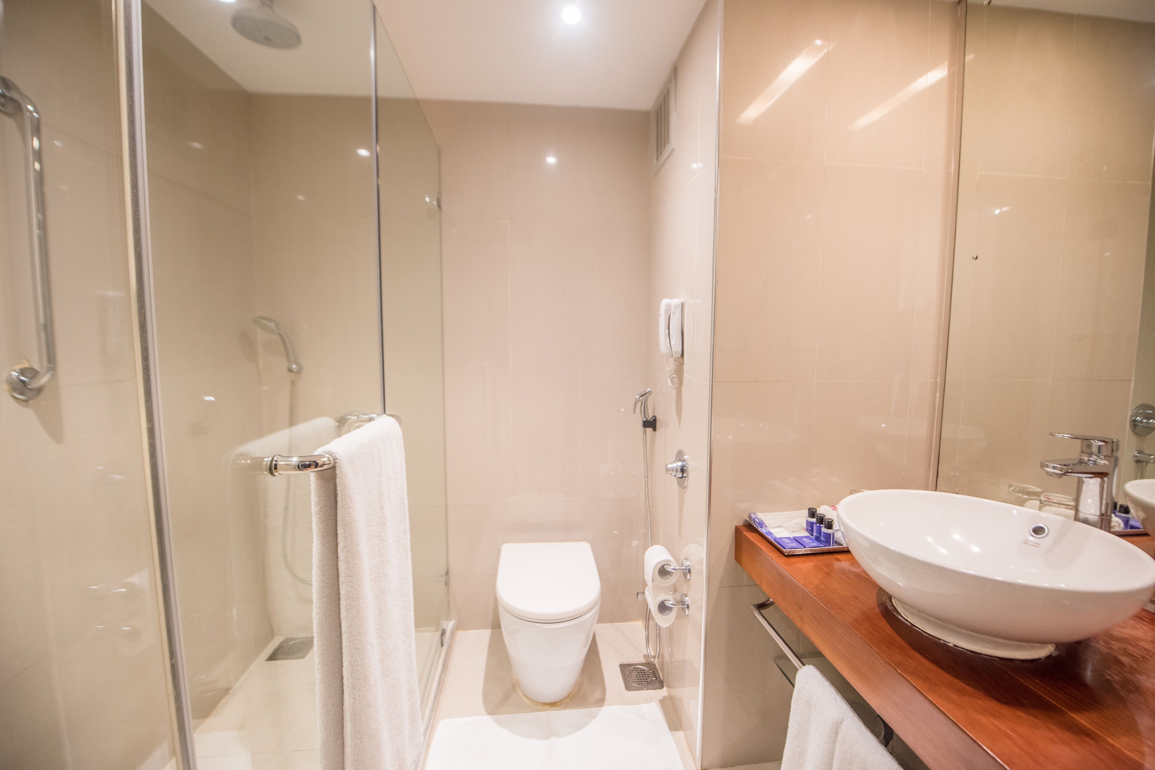 A modern bathroom with a glass-enclosed shower, a white toilet, and a wooden vanity with a large sink.