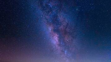 Breakfast, lunch, dinner served; Indian cuisine, garden views